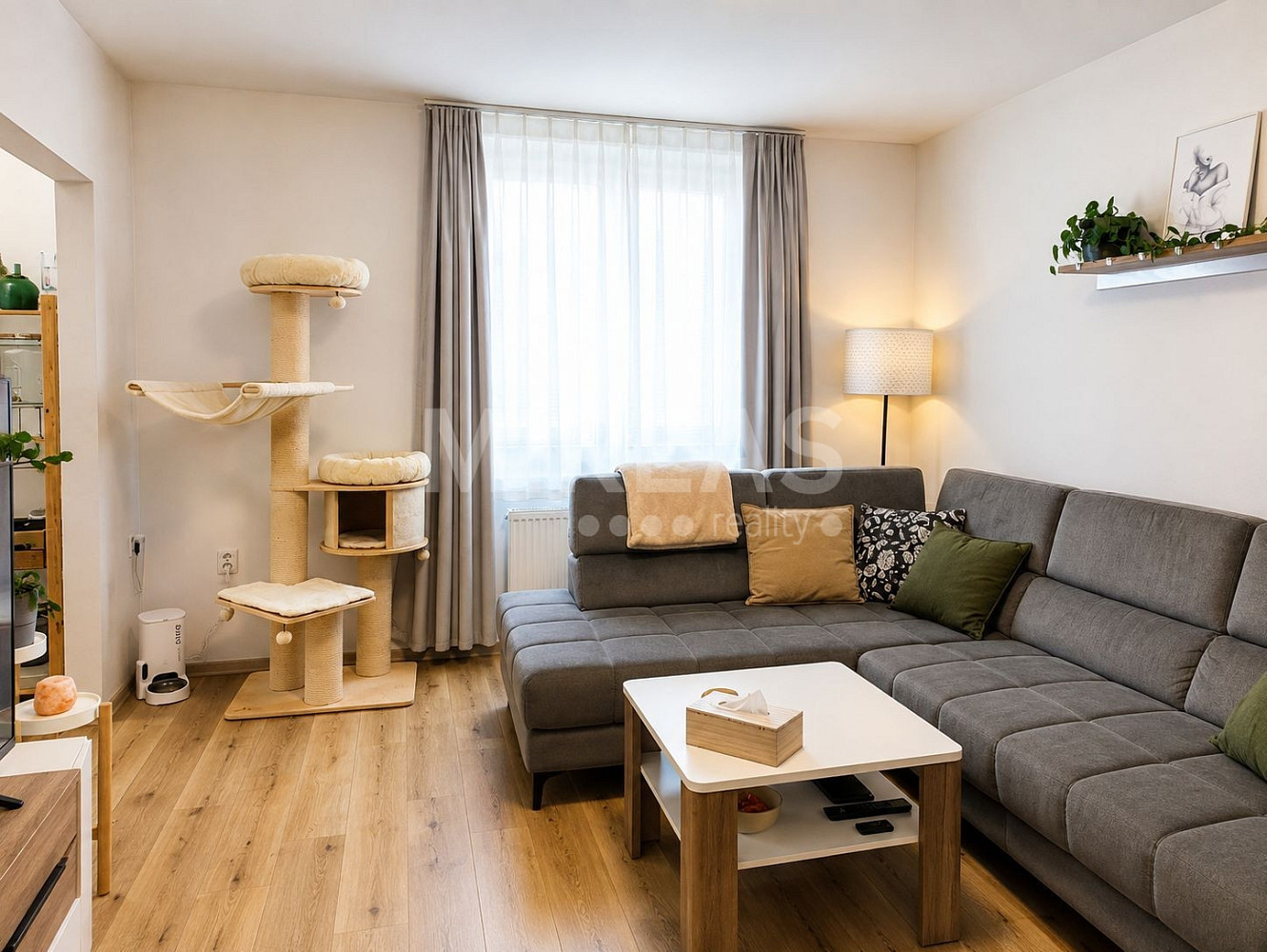 Pronájem bytu 2+kk 49 m² – fotografie 3