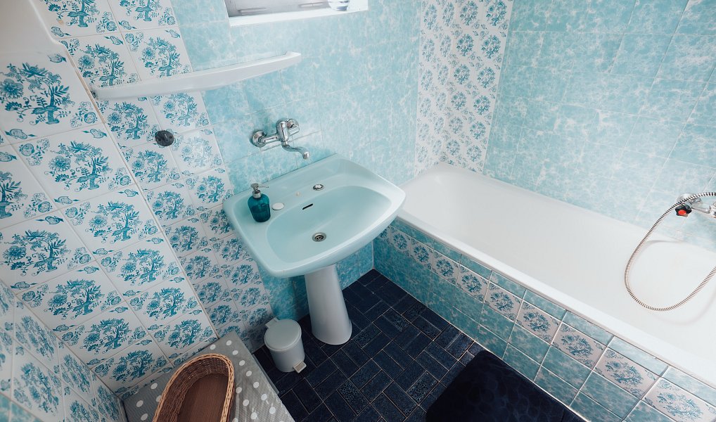 Prodej domu 410 m² s pozemkem 1 748 m², Nedachlebice – náhled fotky 18