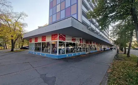 Pronájem obchodních prostor 465 m², Palackého třída, Pardubice - Zelené Předměstí