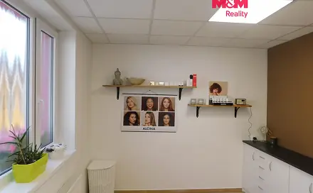 Pronájem obchodních prostor 11 m², Vinařická, Jirkov, okres Chomutov