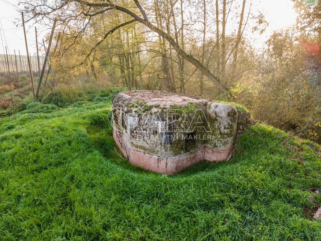 Fotka 14 z 25