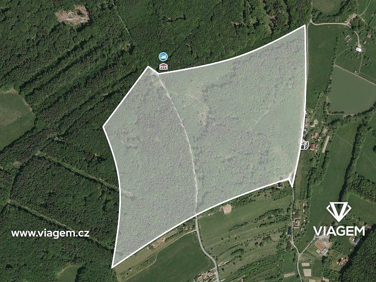 Prodej lesa 2 432 m² – fotografie 2