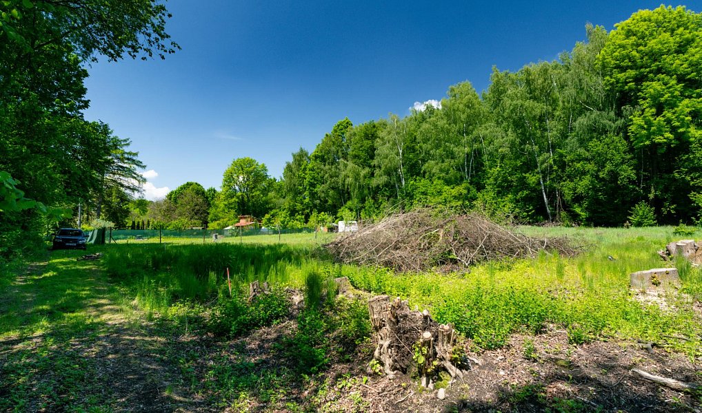 Prodej zahrady 2 646 m², Orlová – náhled fotky 4