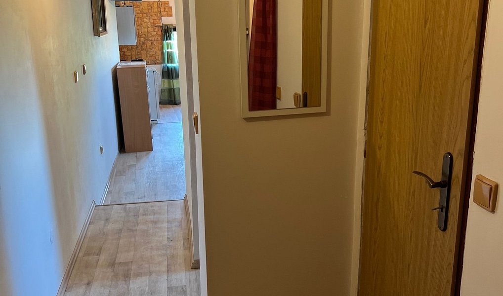 Pronájem bytu 1+kk 42 m², Holubice – náhled fotky 7