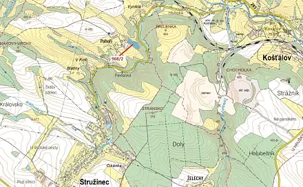 Dražba lesa 10 319 m², Stružinec