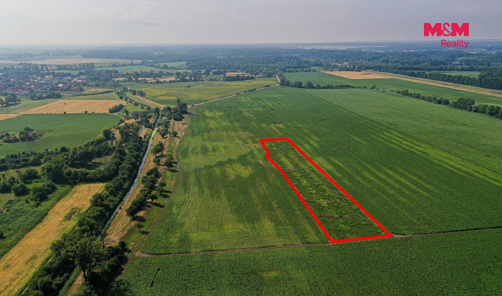 Prodej pole 9 227 m², Podivín – náhled fotky 8