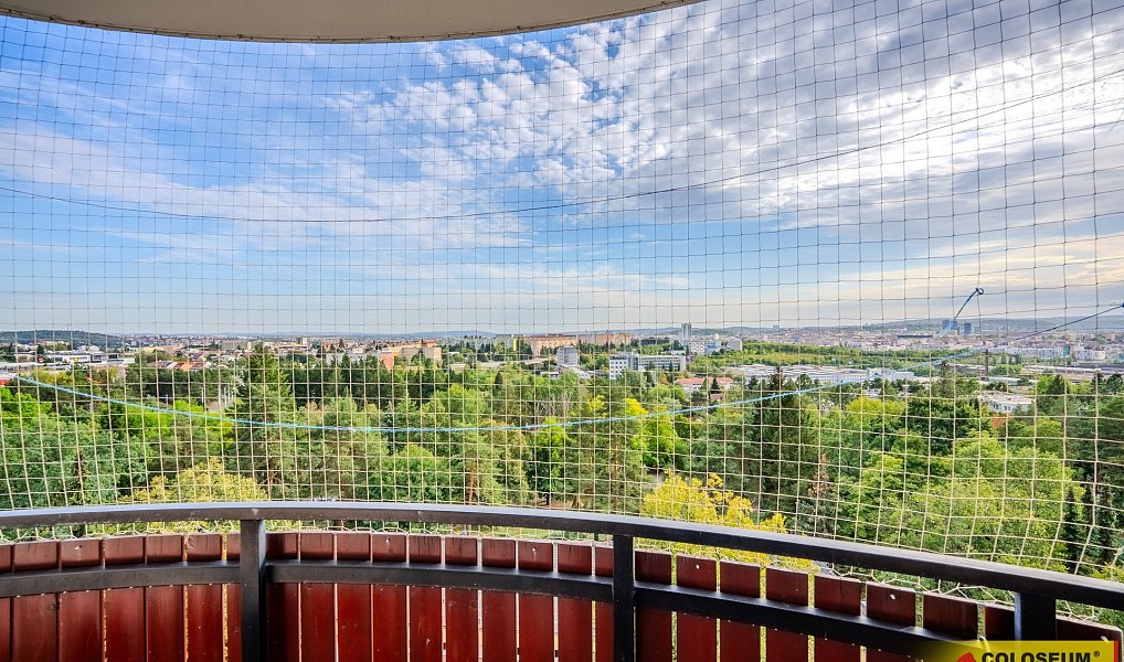 Prodej bytu 3+1 74 m², Brno – náhled fotky 2