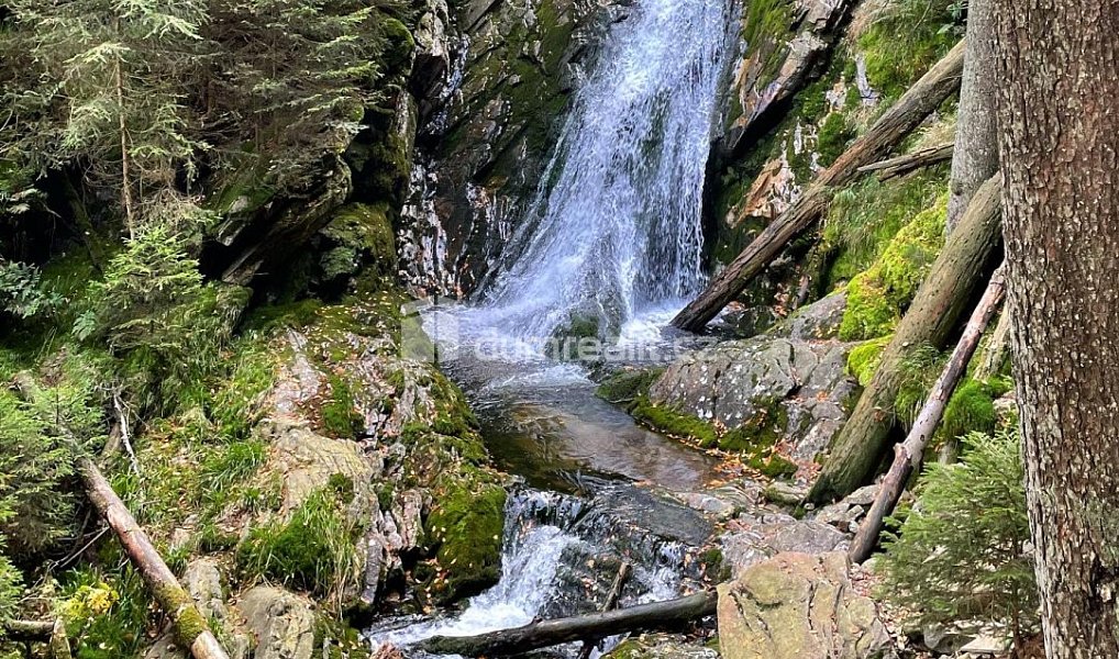 Prodej domu 300 m² s pozemkem 1 292 m², Železná Ruda – náhled fotky 42