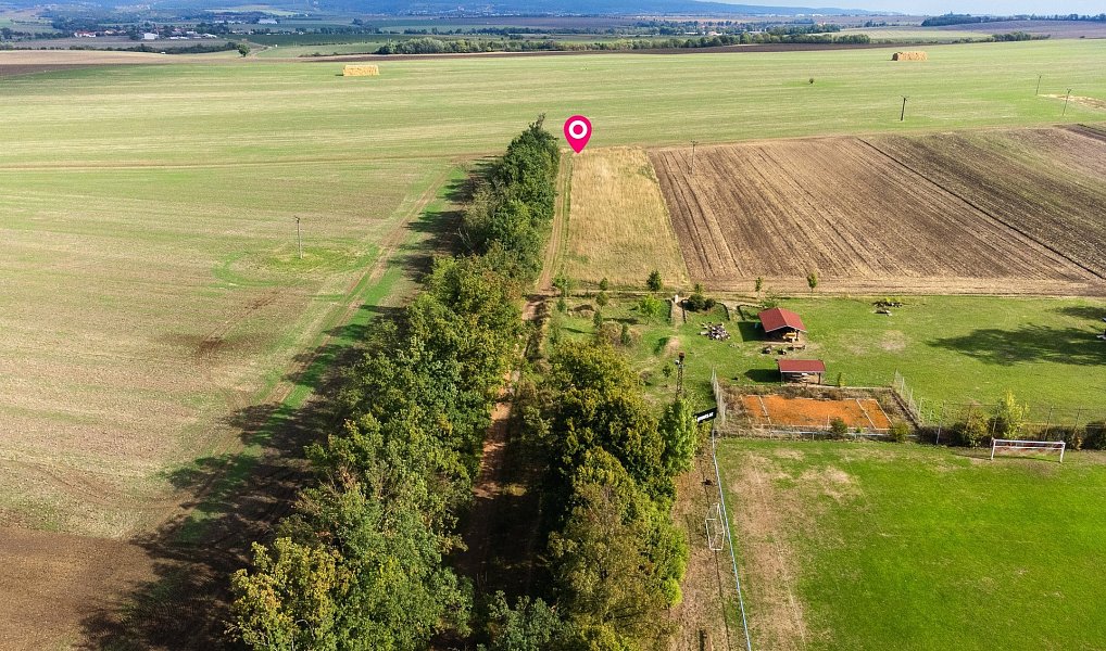 Prodej pole 5 903 m², Prace – náhled fotky 4