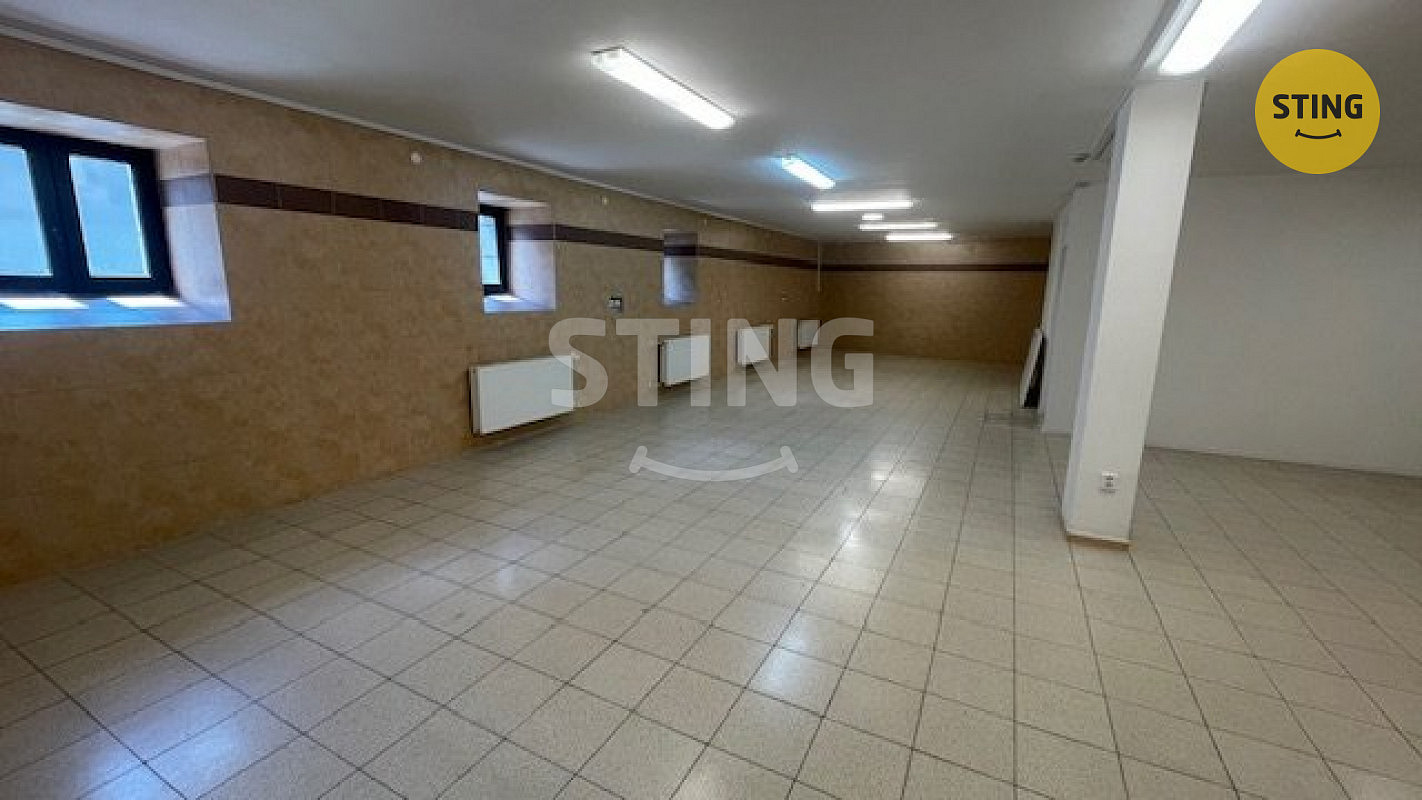 Pronájem skladovacích prostor 230 m² – fotografie 5