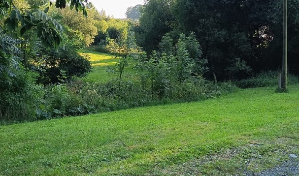 Prodej stavebního pozemku 3 506 m², Světlá Hora – náhled fotky 6