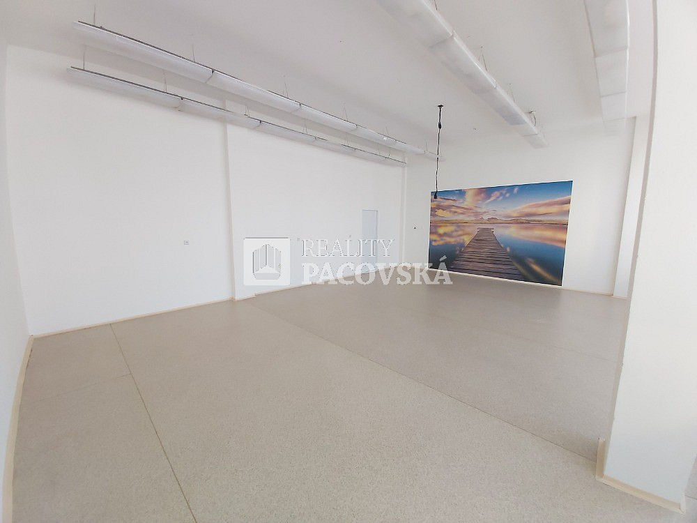 Pronájem obchodních prostor 787 m² – fotografie 5