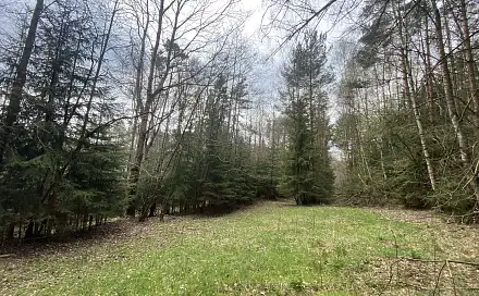 Prodej pozemku 5 958 m²