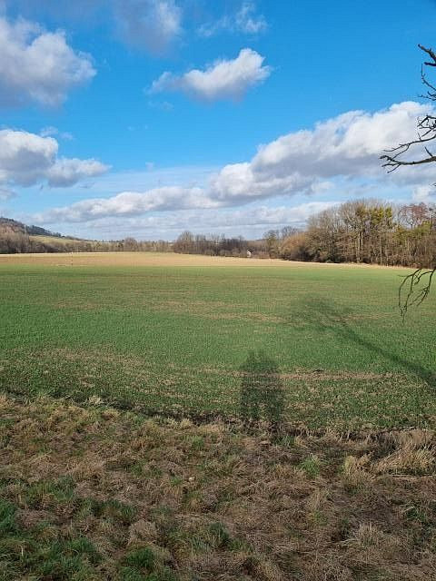 Pronájem zahrady 800 m² — photo 2