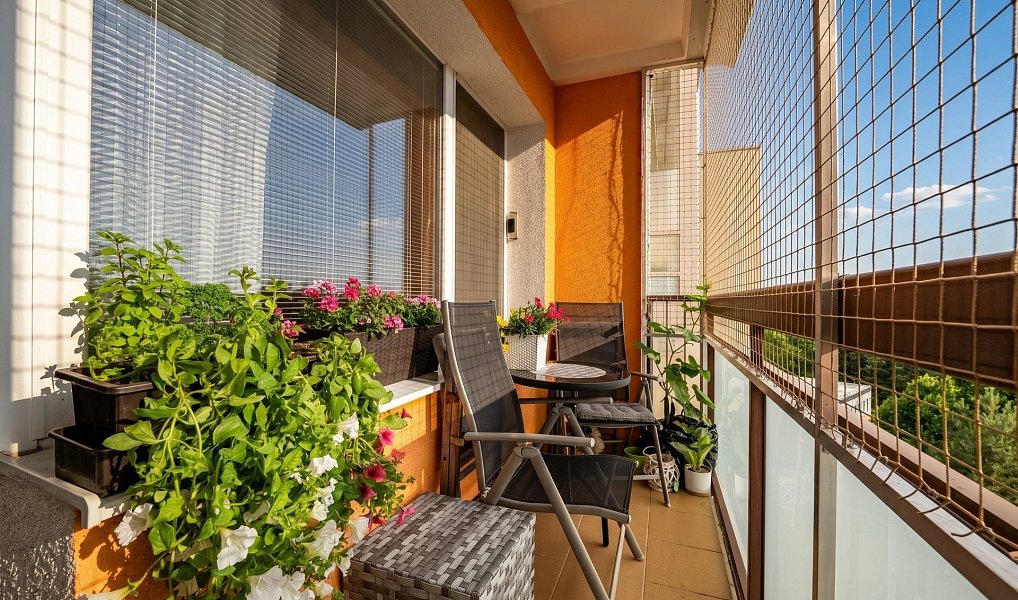 Prodej bytu 3+1 60 m², Brno – náhled fotky 13