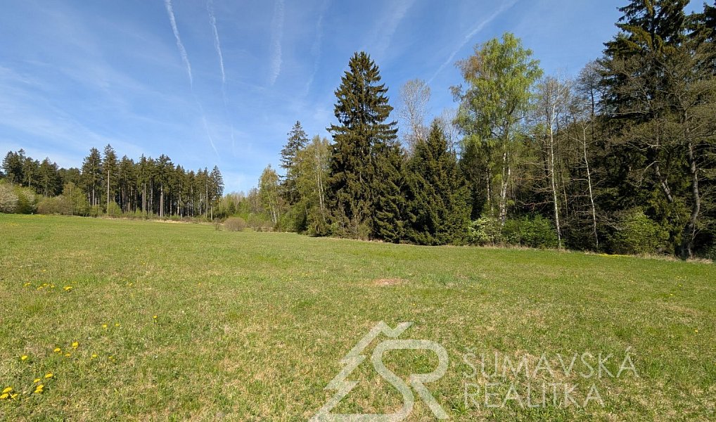 Prodej stavebního pozemku 8 869 m², Soběšice – náhled fotky 2