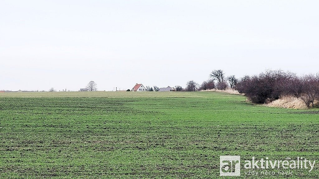 Prodej pole 7 464 m² – fotografie 4