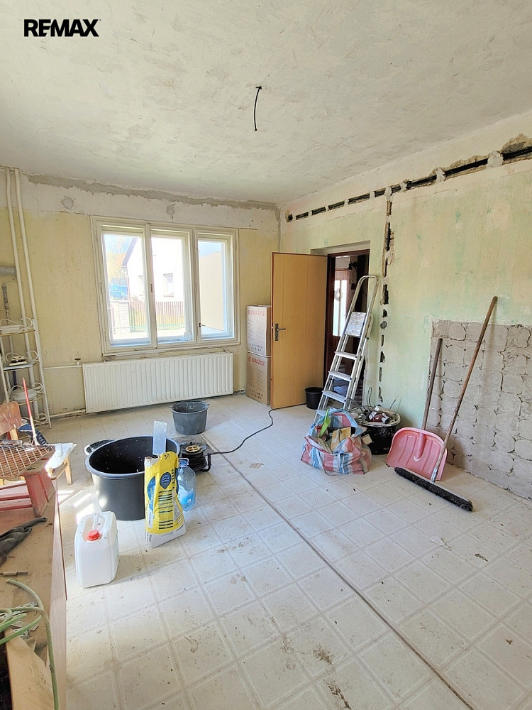 Prodej domu 255 m² s pozemkem 1 379 m² – fotografie 4
