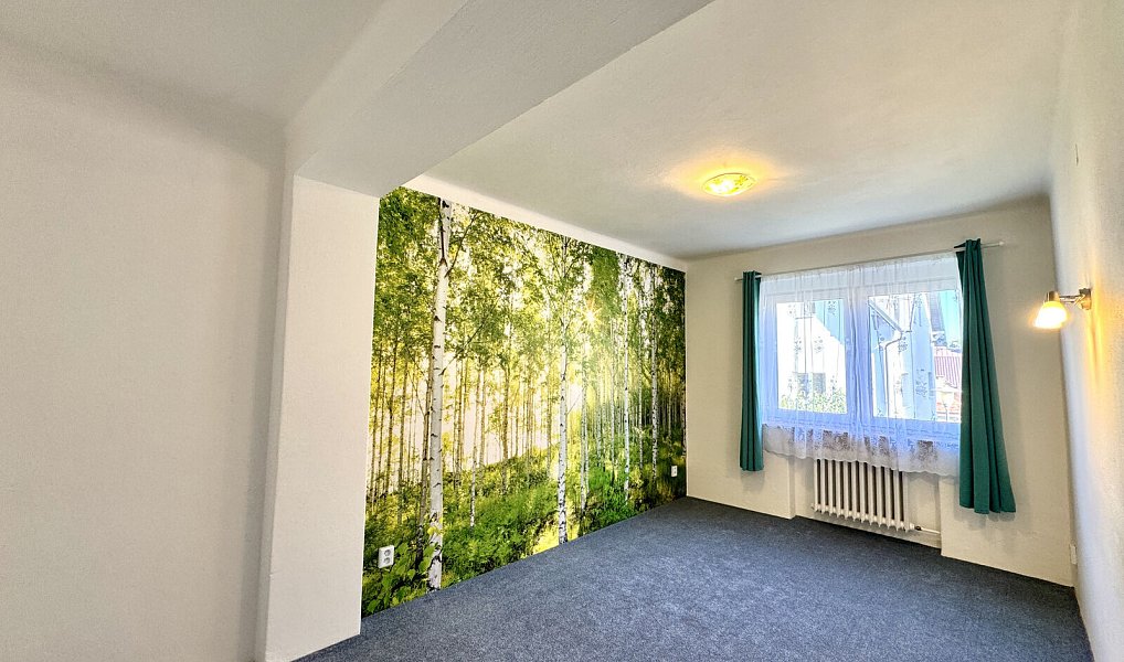 Pronájem domu 97 m² s pozemkem 93 m², Nová Paka – náhled fotky 9