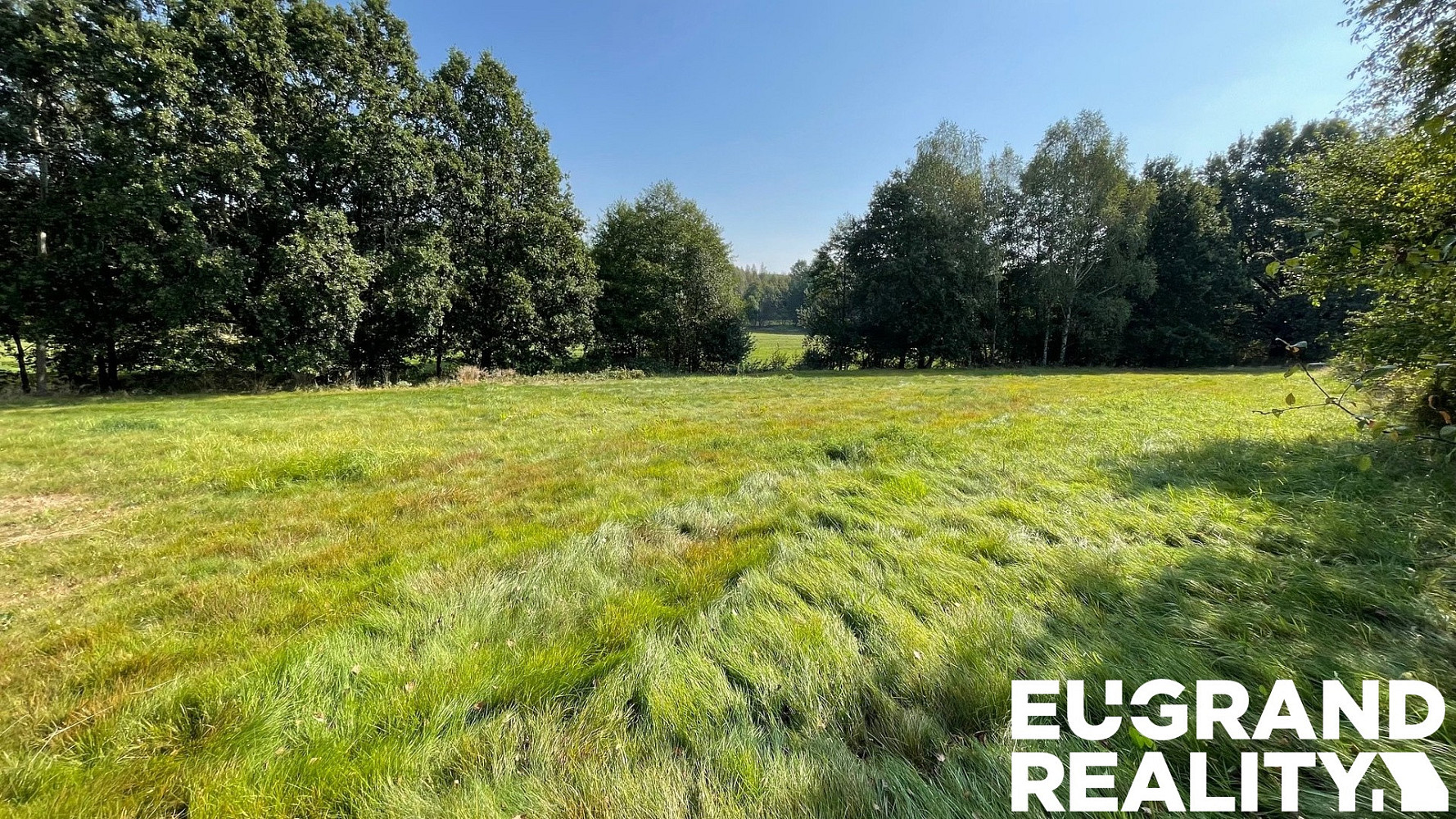 Prodej louky 14 798 m² – fotografie 2