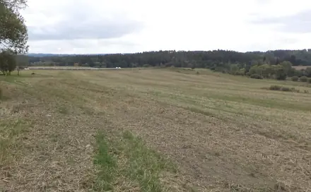 Dražba pole 842 m², Lom u Tachova