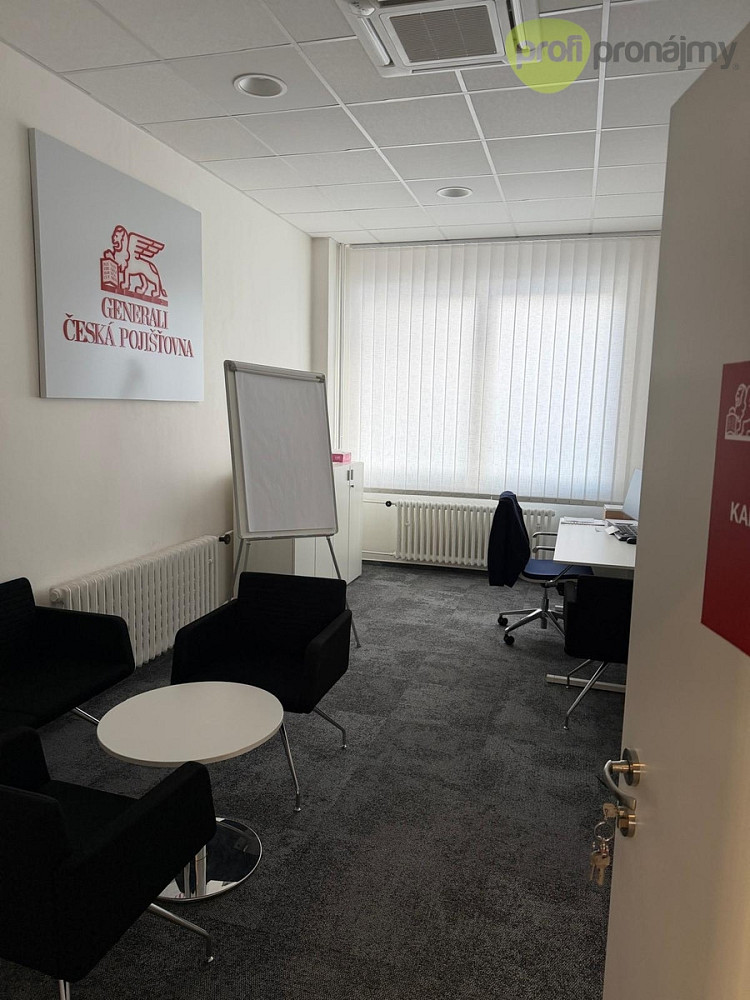 Pronájem obchodních prostor 260 m² – fotografie 4