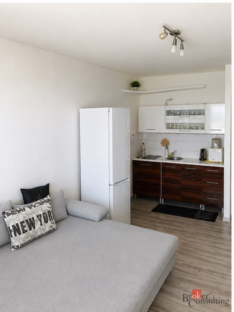Prodej bytu 1+kk 33 m² — photo 4