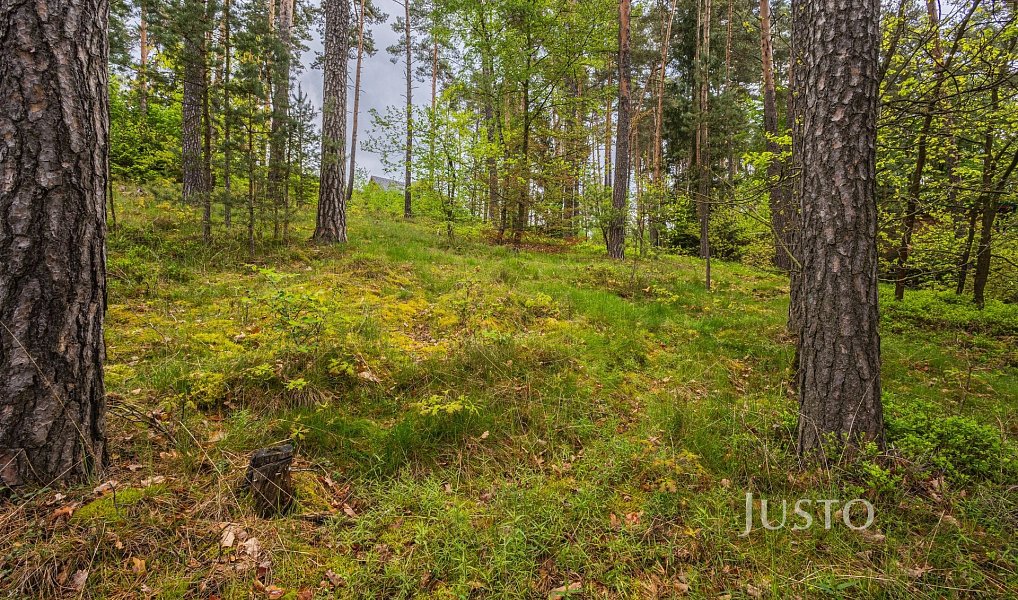 Prodej stavebního pozemku 1 647 m², Hamr na Jezeře – náhled fotky 4