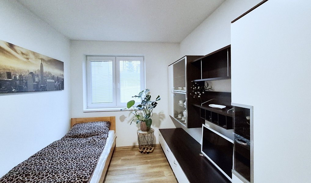 Prodej domu 150 m² s pozemkem 1 764 m², Dolany – náhled fotky 10