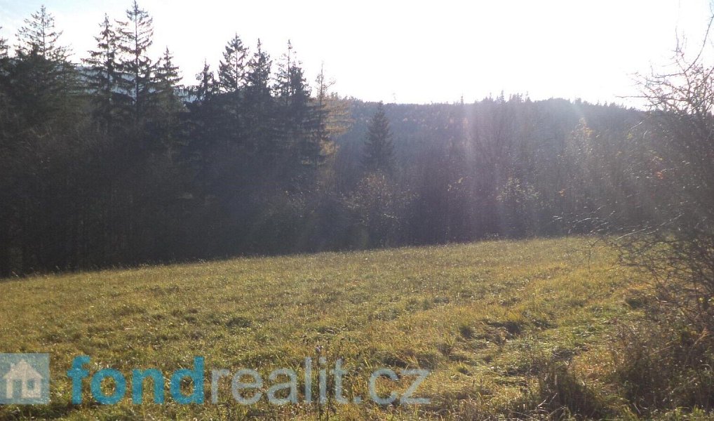 Prodej pole 13 881 m², Seninka – náhled fotky 7