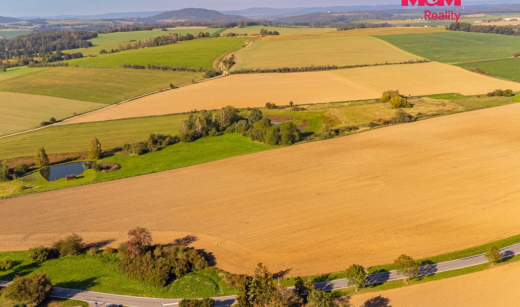Prodej pole 10 000 m², Bystřice – náhled fotky 5