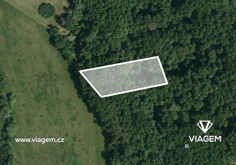Les 1 746 m², Podíl 33 % o výměře 582 m² – pohled 2