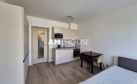 Pronájem bytu 1+kk 30 m²
