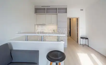 Pronájem bytu 1+kk 30 m², Petrohradská, Praha 10 - Vršovice