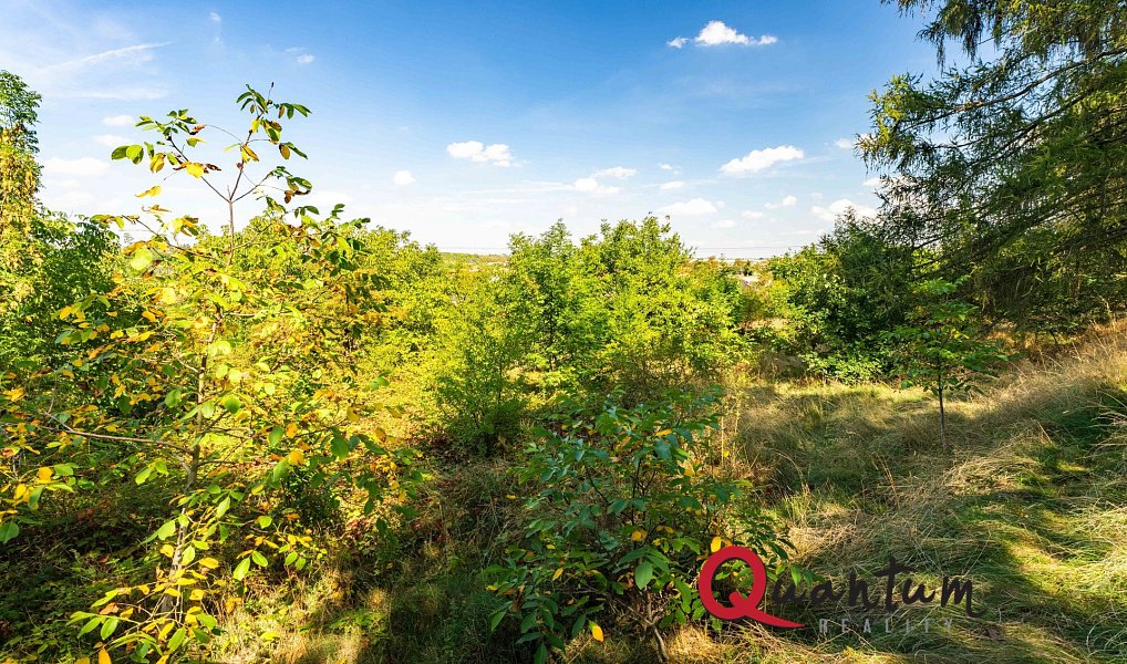 Prodej stavebního pozemku 16 339 m², Brandýsek – náhled fotky 56