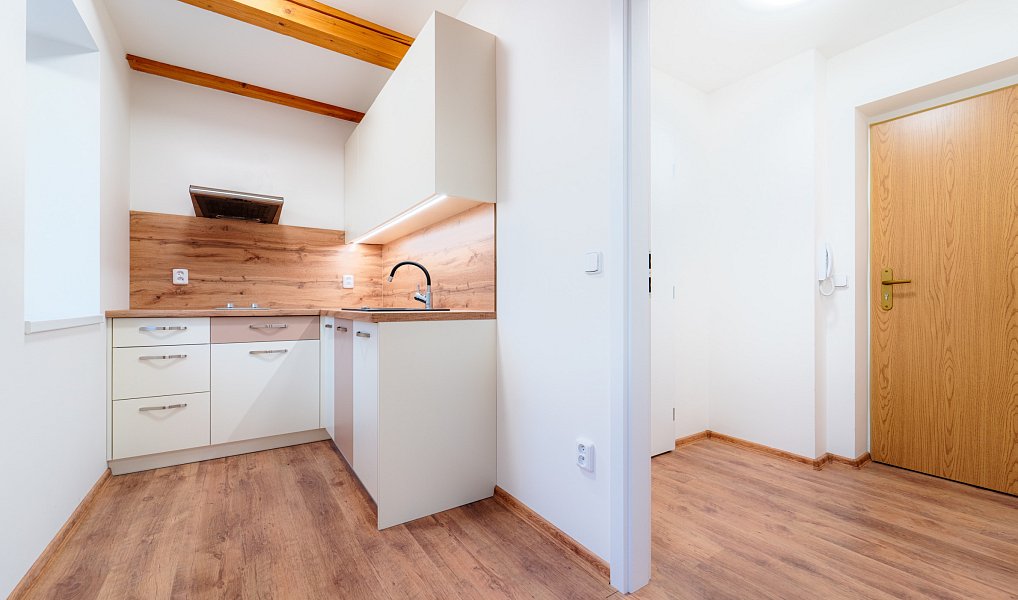 Pronájem bytu 1+kk 25 m², Štěpánov – náhled fotky 5