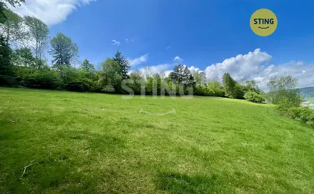 Prodej lesa 16 440 m², Městečko Trnávka - Pěčíkov, okres Svitavy