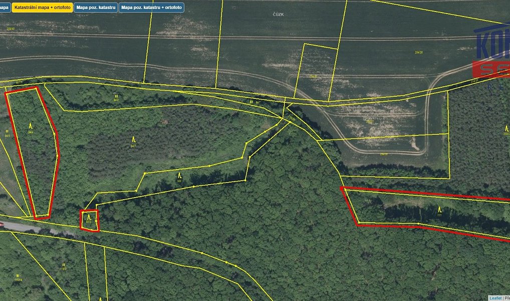 Prodej lesa 32 004 m², Bačalky – náhled fotky 5