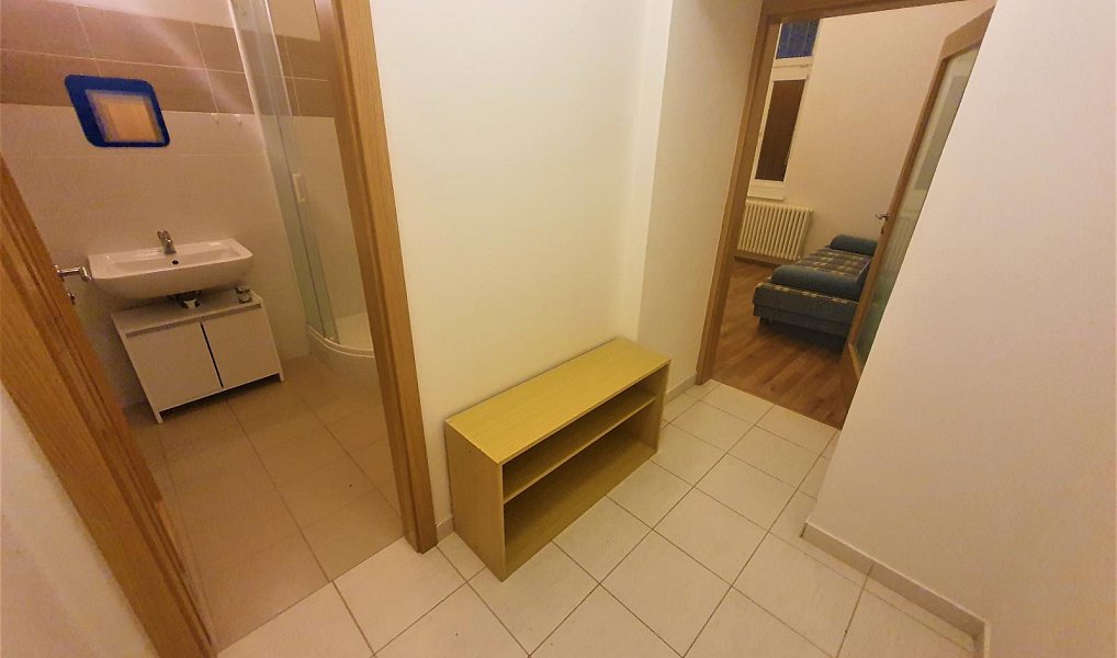 Pronájem bytu 1+1 33 m², Brno – náhled fotky 2