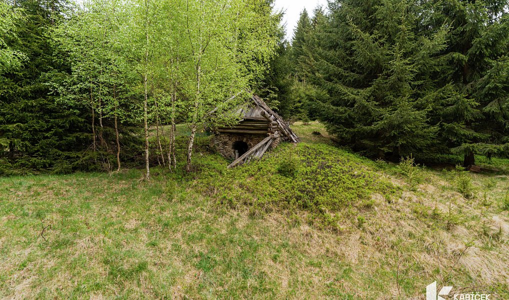 Prodej chaty/chalupy 94 m² s pozemkem 934 m², Velké Karlovice – náhled fotky 11