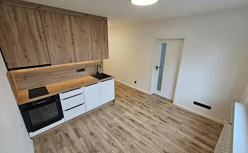 Pronájem bytu 1+1 35 m², U Zámeckého parku, Litvínov - Horní Litvínov, okres Most