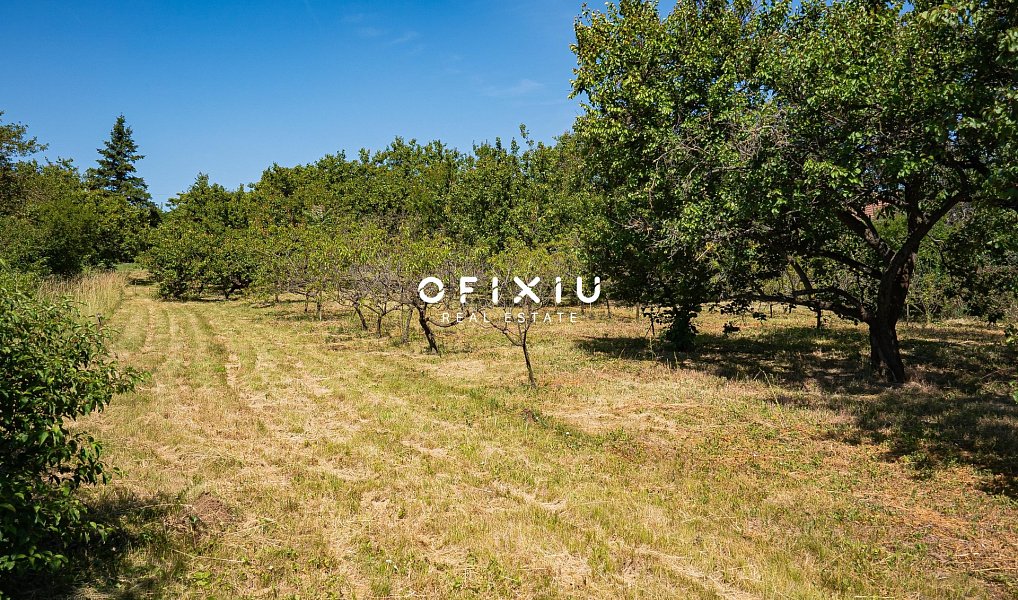 Prodej stavebního pozemku 2 388 m², Modřice – náhled fotky 6