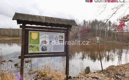 Prodej vodní plochy 3 974 m², Pomezí nad Ohří, okres Cheb
