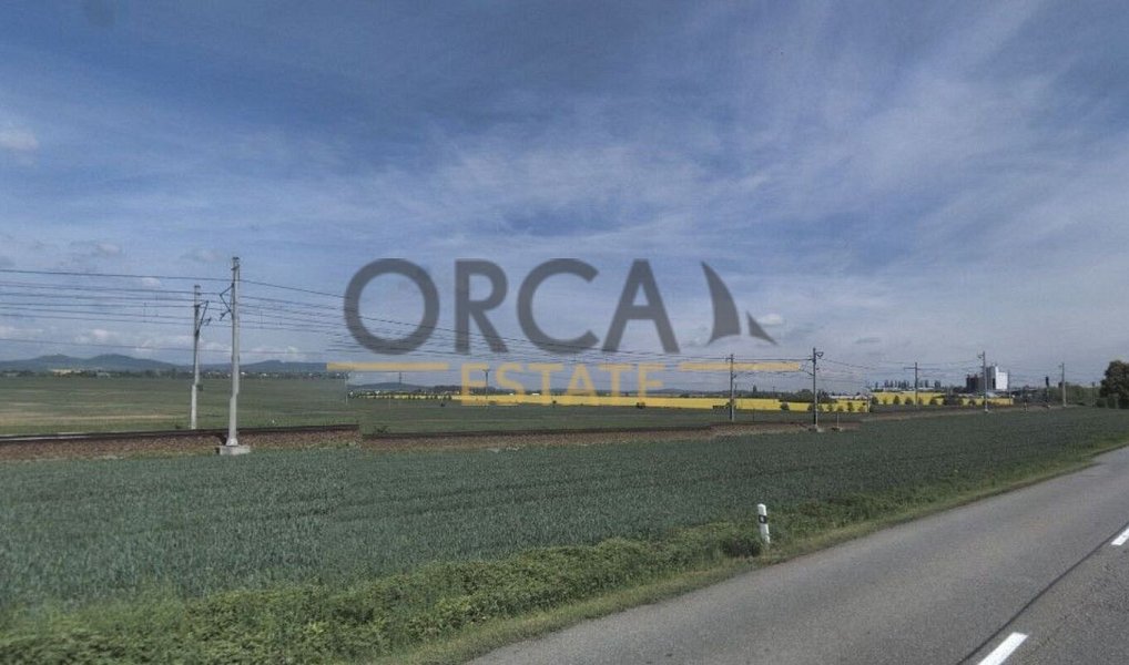 Prodej pole 2 993 m², Staré Město – náhled fotky 3