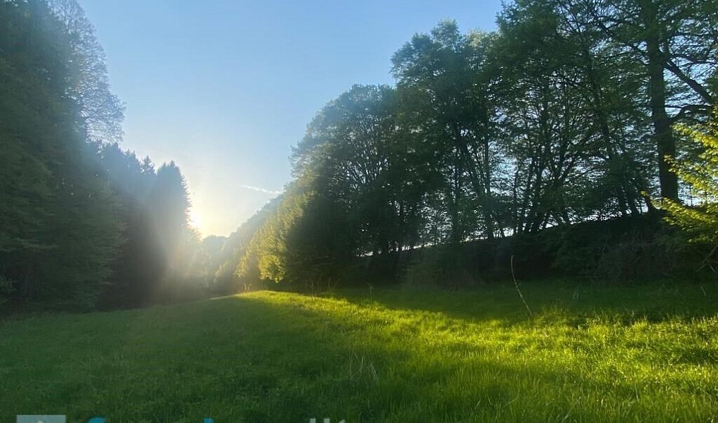 Prodej pole 3 829 m², Tachov – náhled fotky 2