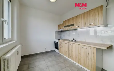 Pronájem bytu 1+1 39 m², Dvořákova, Cheb