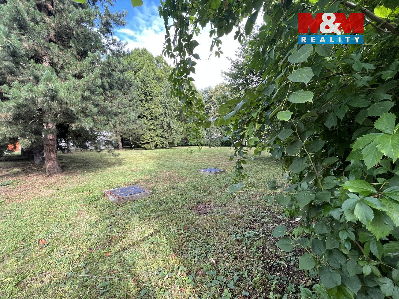 Prodej komerčního pozemku 6 100 m² – fotografie 3