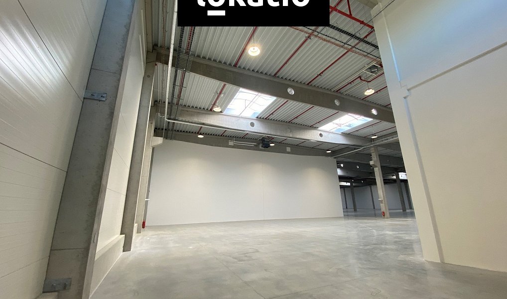 Pronájem skladovacích prostor 686 m², Mikulov – náhled fotky 4