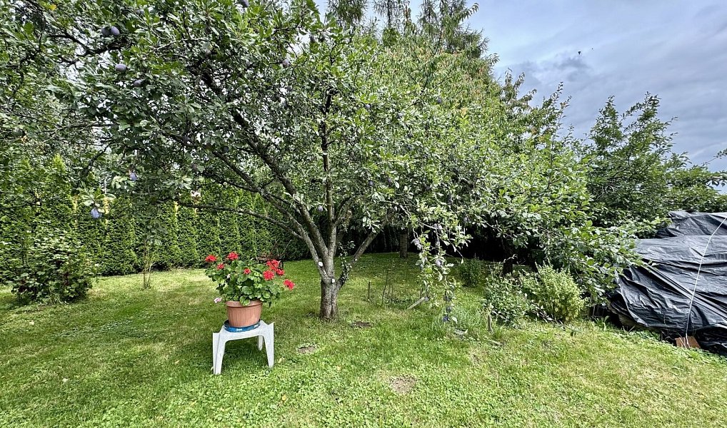 Prodej domu 313 m² s pozemkem 1 527 m², Dolní Újezd – náhled fotky 7