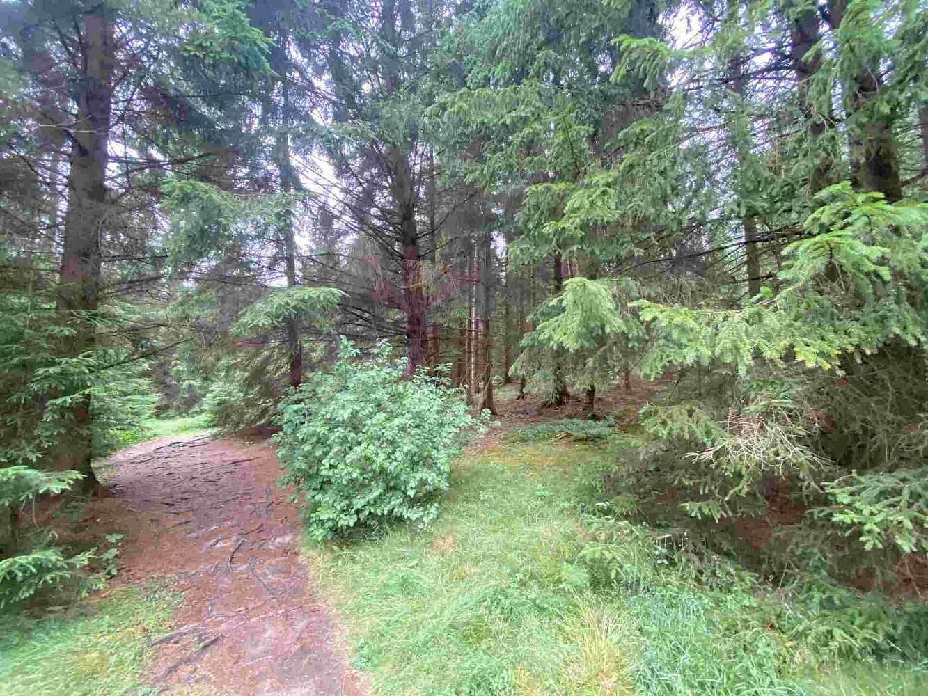 Prodej pole 1 440 m² – fotografie 2